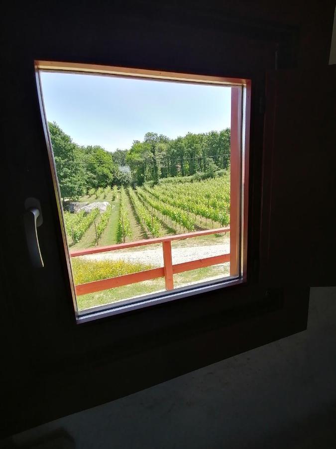 Quinta Pousada De Fora Wines & Tourism กิมาไรส์ ภายนอก รูปภาพ
