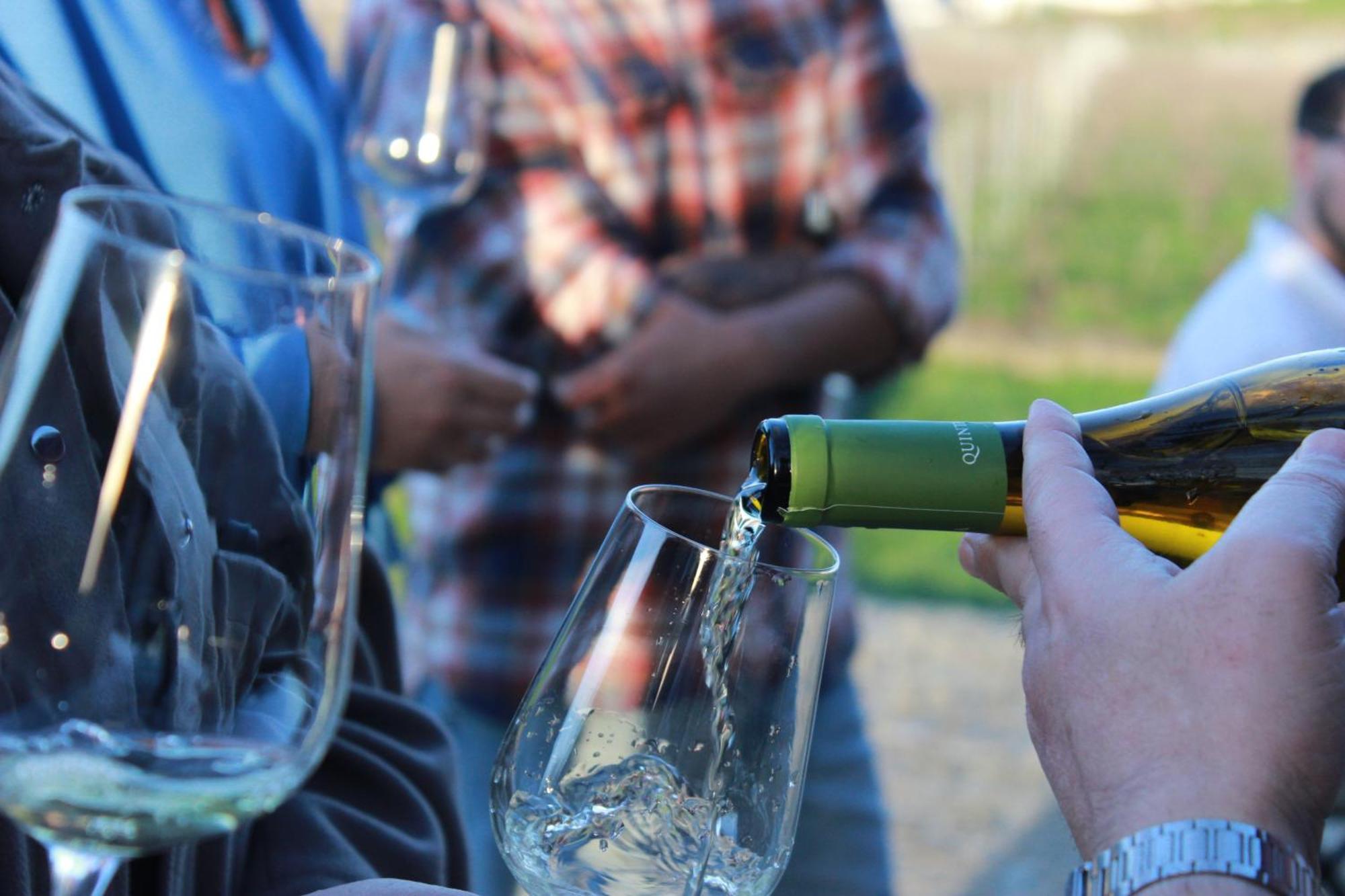 Quinta Pousada De Fora Wines & Tourism กิมาไรส์ ภายนอก รูปภาพ